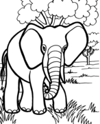 free drawing pictures for kids coloring pages