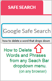 How to Delete Search Bar History | Safe Search