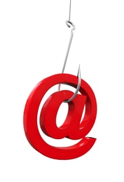 Report Email Phishing