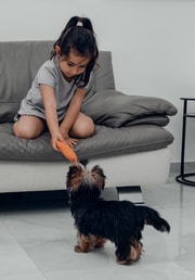 Best Dogs for Kids