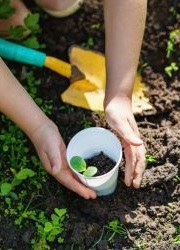 How To Create Natural Play Environments For Young Kids