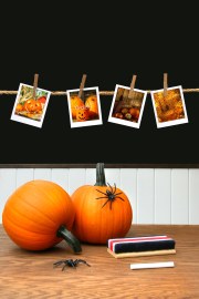 Ideas for Your Classroom’s Halloween Party