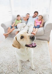 Just How Good are Family Pets for Kids?