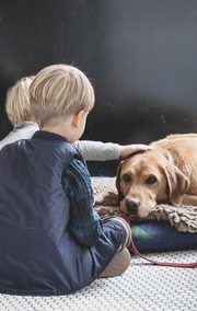 Ways to Teach Preschoolers How to Interact With Animals