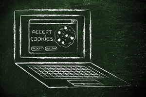 Privacy Policy and Cookies