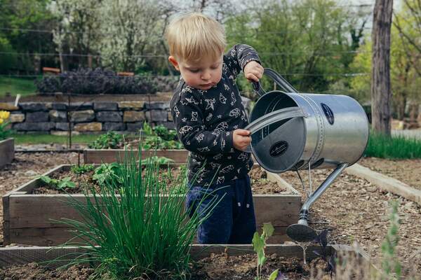 Teach children to love and respect nature.