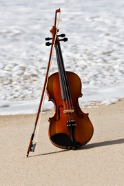 Picking the Perfect Electric Violin