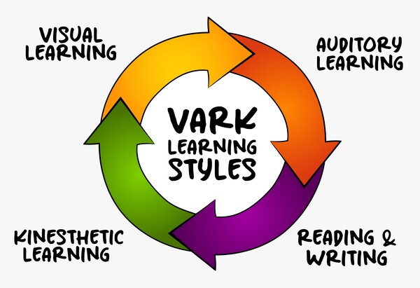 Exploring Additional Learning Styles