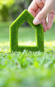 Creating a Safe Haven: The Role of Eco-Friendly and Non-Toxic Products In Family Homes