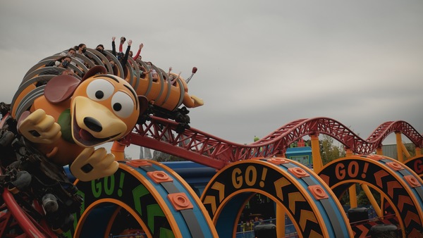 Roller Coasters Ride at Disney World Florida