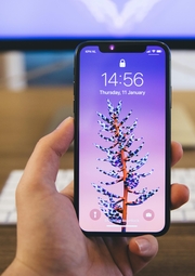 Person holding a phone with a purple flower on the screen