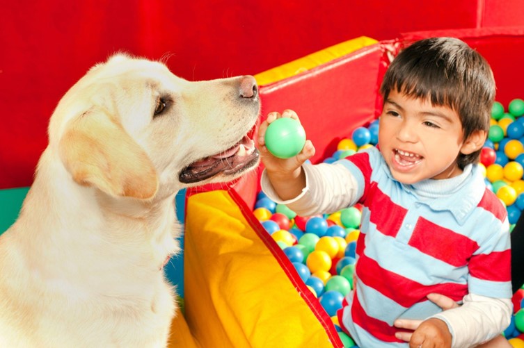 5 of the Most Autism-Friendly Dog Breeds