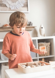 The Role of Using Wooden Toys in the Development of Children's Communication Skills