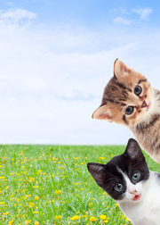 How (And Why) to Keep Your Kids off Social Media This Summer