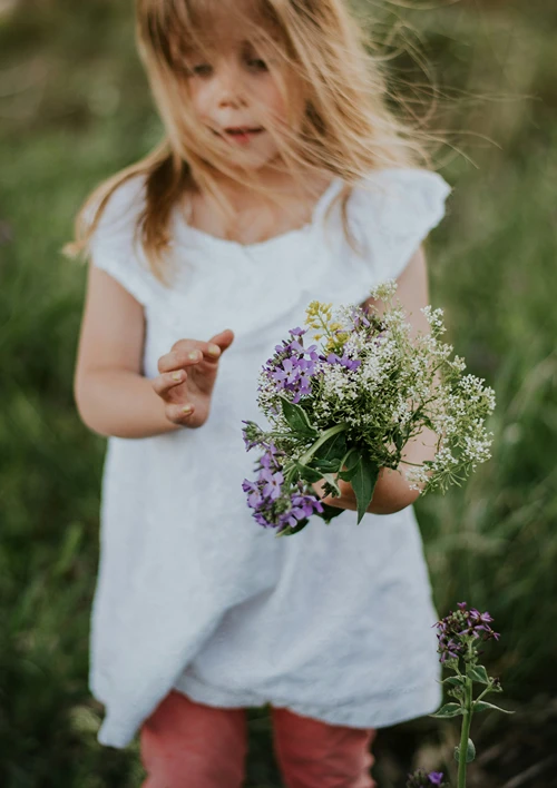A little girl in a green meadow holding wild flowers she picked.