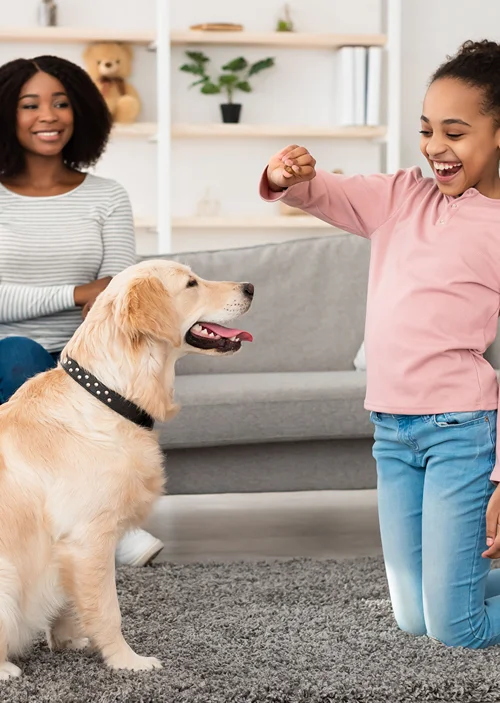 A dog patiently waits as a girl holds up a treat. Mom watches from close by.