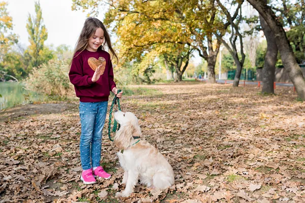 A girls stands before her dog on a lease teaching him to stay.