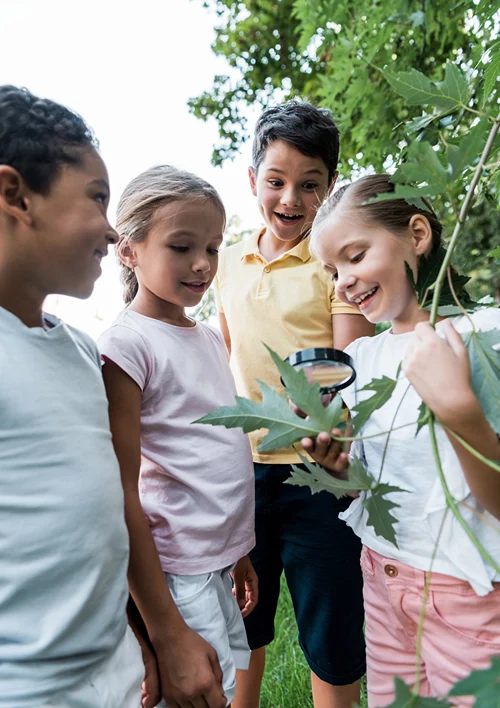 A group of kids at summer camp looking at a plant with a magnifying glass