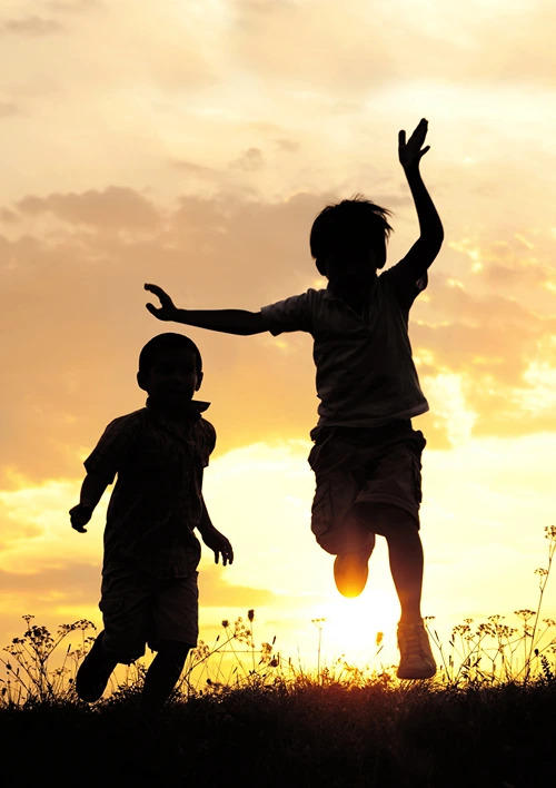 Sun set silhouette of two boys playing outdoors.
