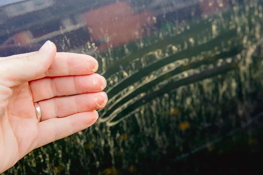 A hand shows heavy pollen after wiping off a car window.