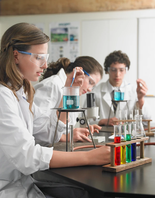 Students conducting an experiment in a lab class.