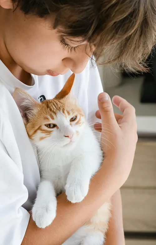 A boy lovingly holds his cat close.