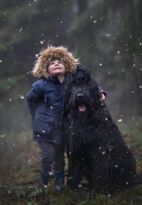 A boy stands next to his Newfoundland dog as light snow falls.