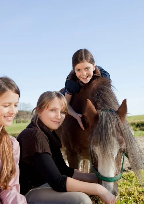 A teen girl on a horse as her friends sit on a bench.