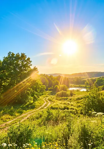Bright summer sun shining over a lush green meadow with wild daisies, field flowers, and sunbeams cutting through trees on a clear blue sky day.