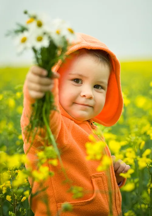 A preschooler standing in a field holding up a hand full of flowers.